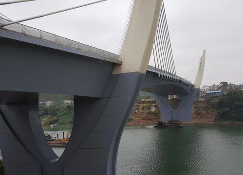 崇左大橋及引道工程喜獲“真武閣杯”獎，裝飾工程品質獲權威認可