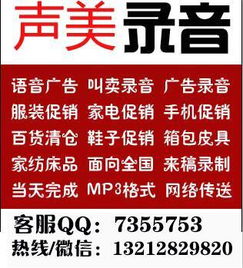 聲畫俱佳，數(shù)字時(shí)代的高效觸達(dá) 數(shù)碼相機(jī)廣告錄音與數(shù)字廣告設(shè)計(jì)全攻略